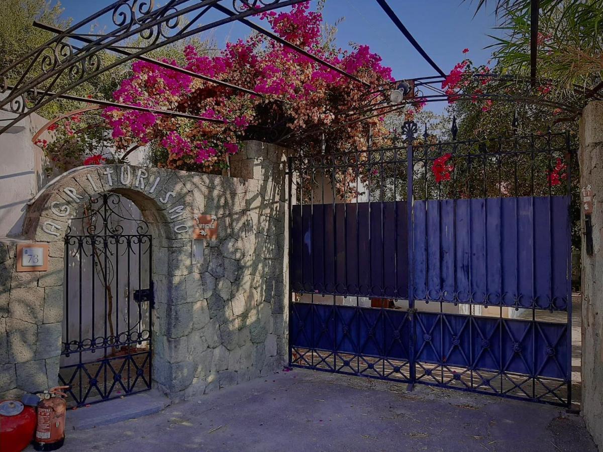 Hotel Il Vitigno Di Dioniso à Forio di Ischia Extérieur photo