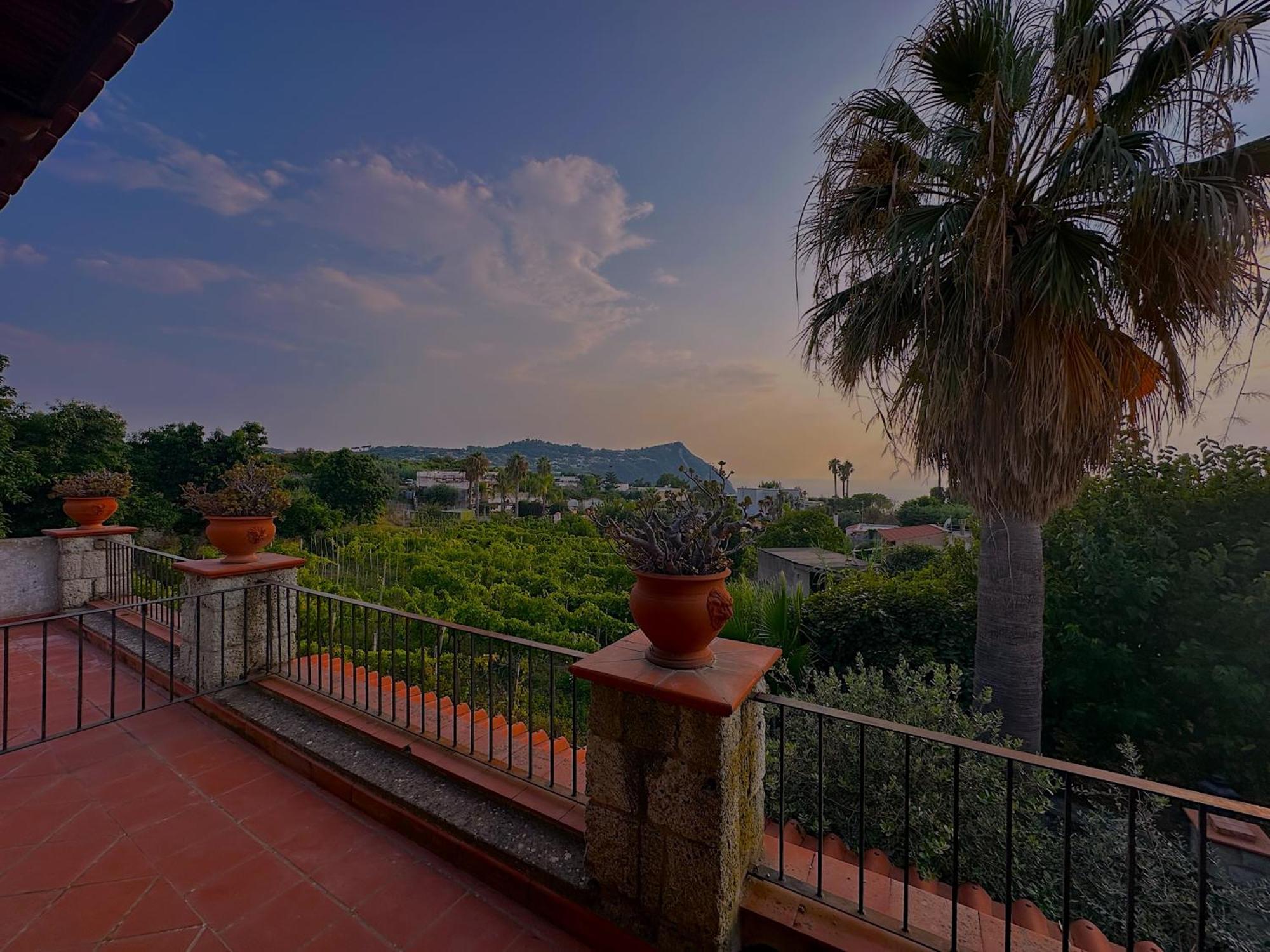 Hotel Il Vitigno Di Dioniso à Forio di Ischia Extérieur photo